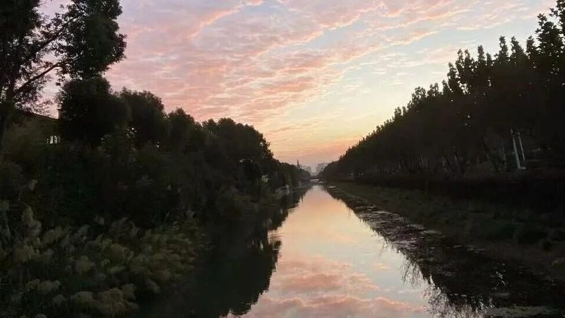 餐饮行业代理记账服务：揭秘其核心内容与价值